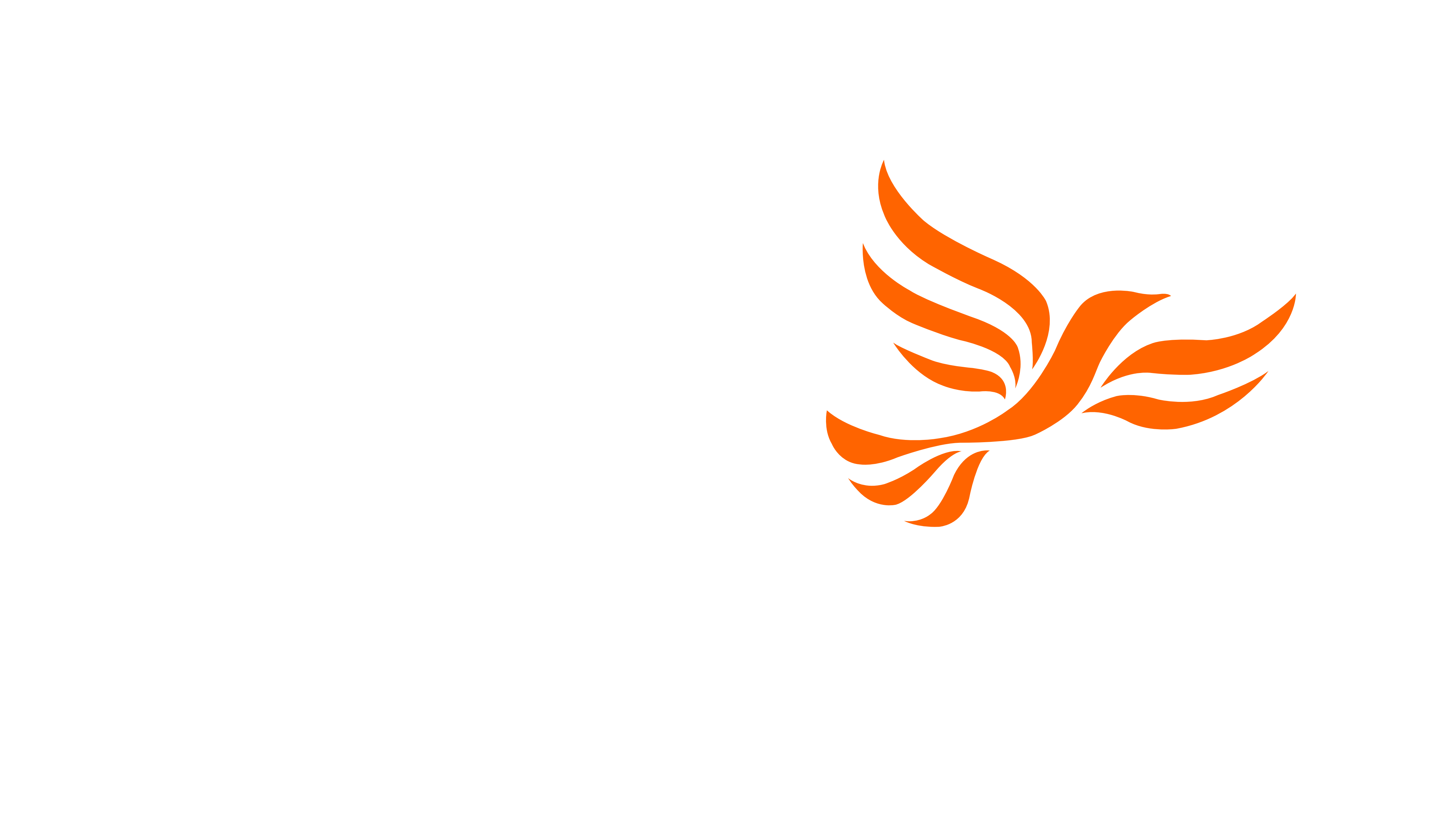Liberal Democrat